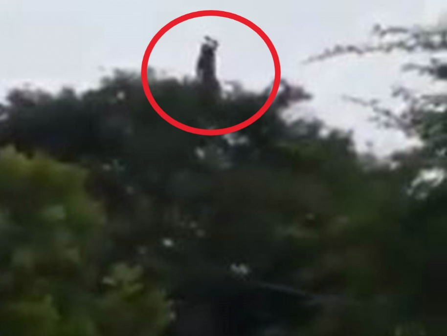 Captan a «La Llorona» en Colombia; causa terror en redes.