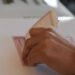 Blinda Ietam boletas electorales.