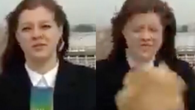 Perrito se roba micrófono de reportera durante programa en vivo