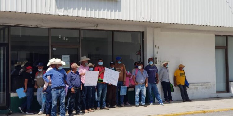 Banco del Bienestar deja sin apoyo de «Sembrando Vida» a 18 productores.