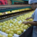 Estudiantes de enfermería realizarán estancias en universidad colombiana.