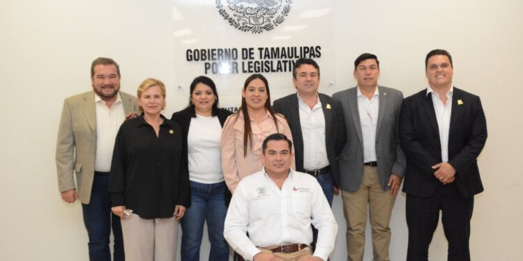 Rompe STJE con el orden constitucional, acusa Morena.