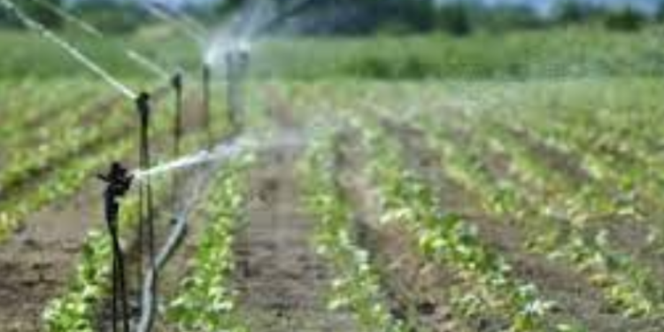 Repartirá Conagua 3.5 mdp entre agricultores del 026