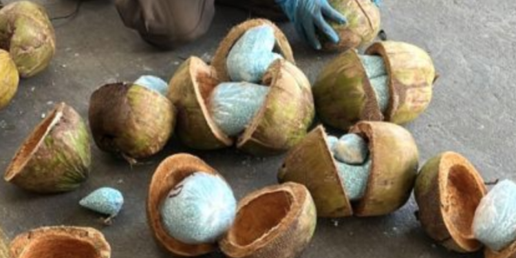 Ingenio narco; pareja llevaba 6mdd de fentanilo ¡en cocos!
