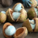 Ingenio narco; pareja llevaba 6mdd de fentanilo ¡en cocos!
