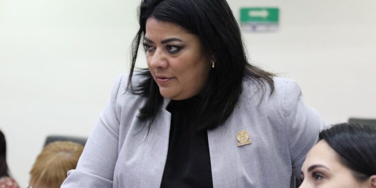 «El Congreso está transitando sobre la legalidad»: Salazar Mojica