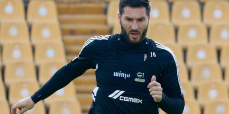 Recupera Tigres a Gignac