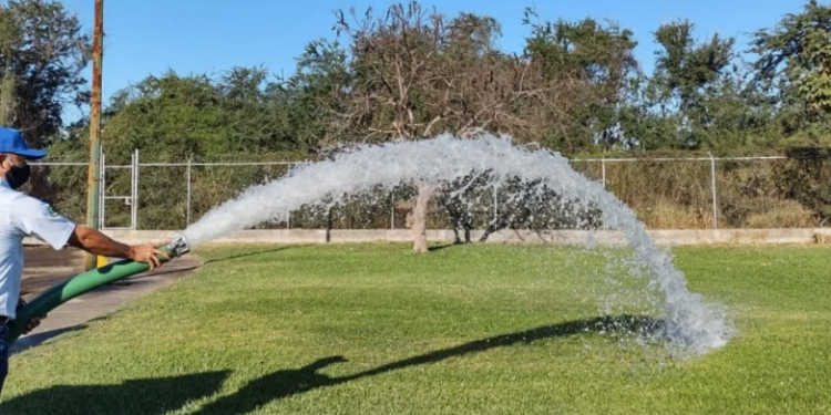 Riegan áreas verdes con aguas tratadas