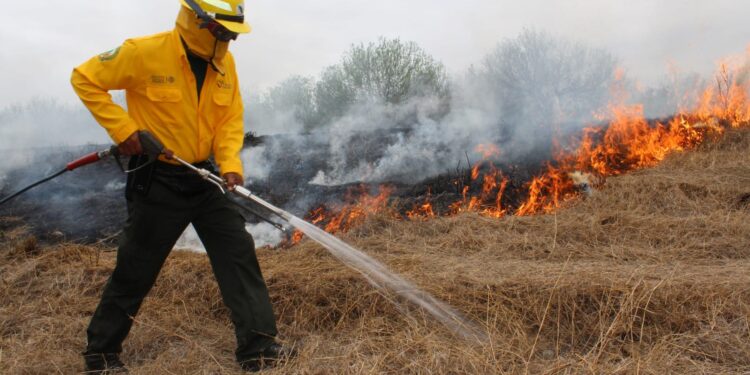 Lluvias “apagan” incendios forestales