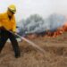 Lluvias “apagan” incendios forestales