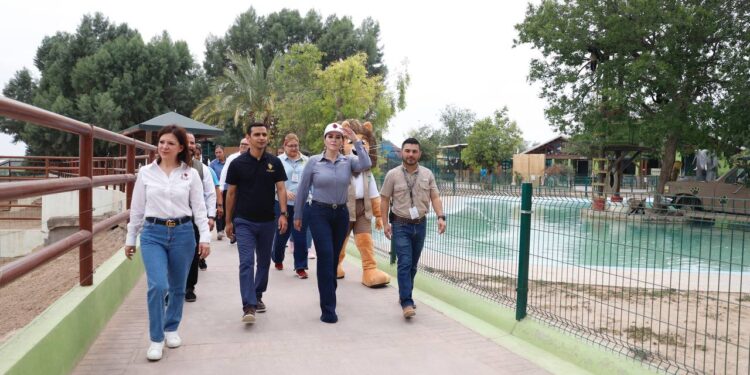 Avanza rehabilitación del «Serengueti» en el zoológico