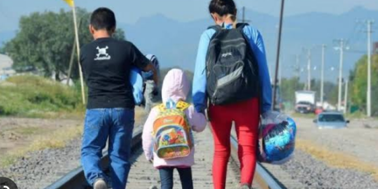 Tiene Tamaulipas 35 niños sin identidad legal