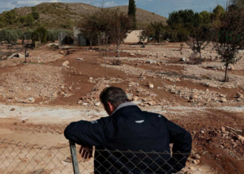El campo, en caída libre hacia el desastre