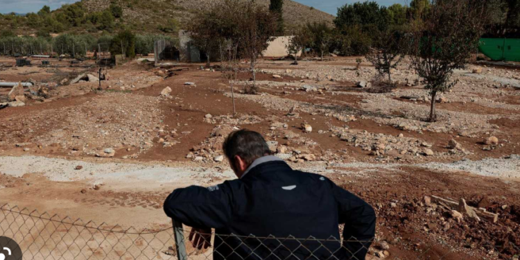 El campo, en caída libre hacia el desastre