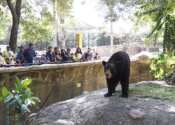 Piden cese de director del Zoológico de Tamatan por muerte de animales