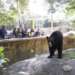Piden cese de director del Zoológico de Tamatan por muerte de animales