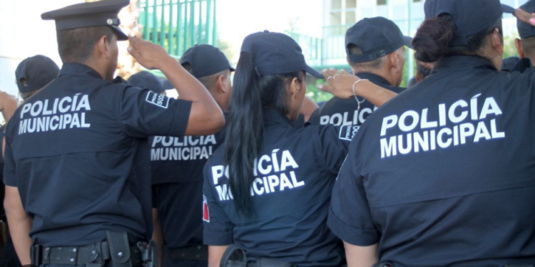 Reactivación de Policía Municipal solo con presupuesto especial: Ale Cárdenas.