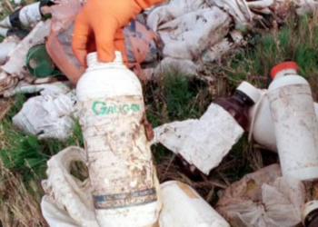 Abandonan a cielo abierto 270 toneladas de envases de plagucidas