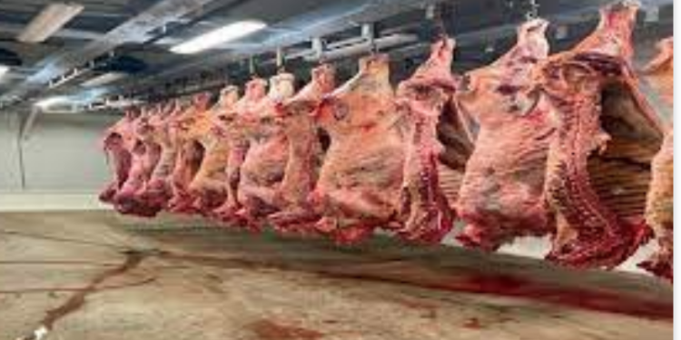 Peligra abasto de carne para Victoria por clausura de rastro de Veterinaria