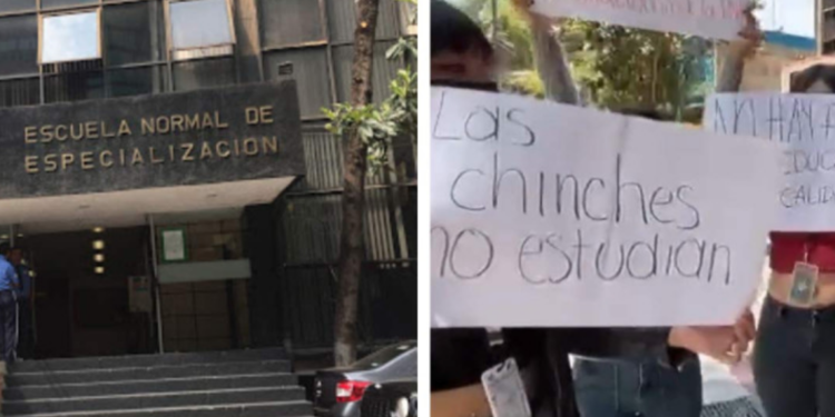 Chinches invaden escuela en Polanco