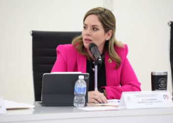 Demandan freno a acoso sexual en oficinas de gobierno