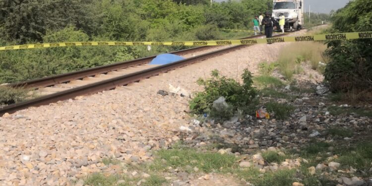 Arrolla y mata tren a desconocido