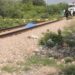 Arrolla y mata tren a desconocido