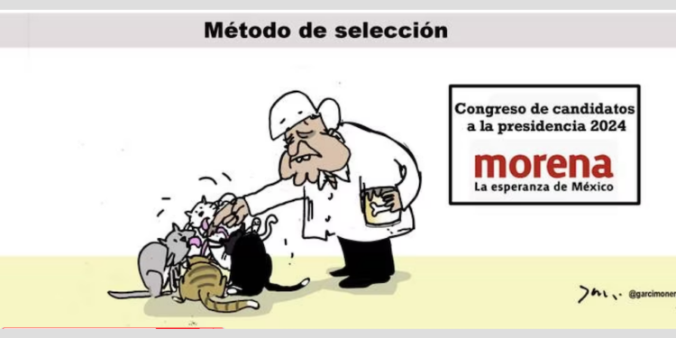 Cartoon