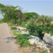 Hallan en Tamaulipas mil 600 basureros clandestinos