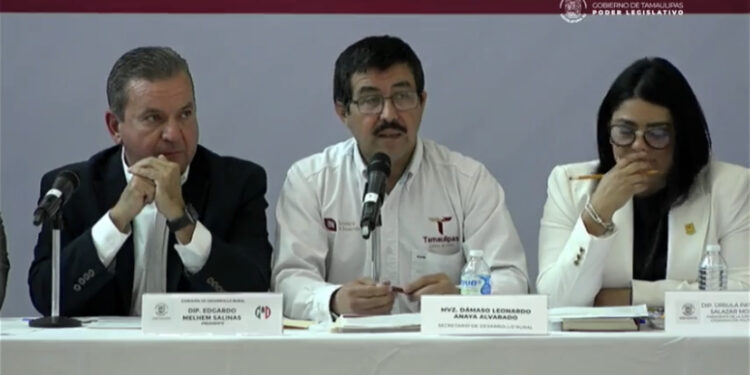 Delincuencia pone a cuota a ganaderos de Tamaulipas