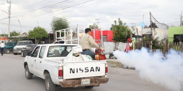 Combaten gobierno municipal y jurisdicción sanitaria y focos de infección