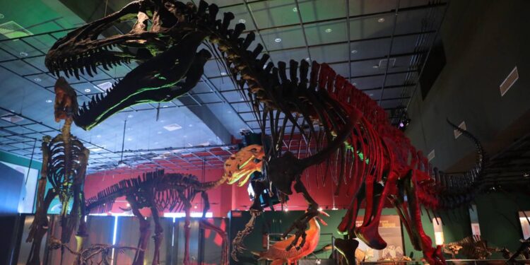 Invitan a conocer el museo de Historia Natural