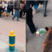 Perrito acompaña el cortejo fúnebre de su dueño y camina con un ramo de flores