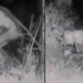 Difunden imágenes de presuntos extraterrestres