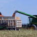 Agricultores dejarían de trillar para no agrandar las pérdidas