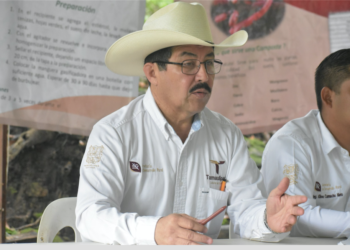 Sigue gobierno prometiendo apoyo a sorgeros