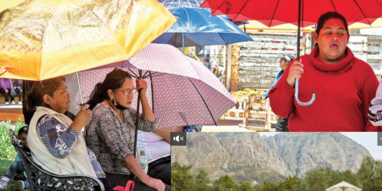 Falla servicio de luz en 18 estados por ola de calor