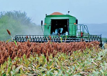 Tendría Tamaulipas , «Agricultura por Contrato», el año próximo