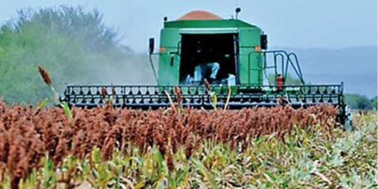 Tendría Tamaulipas , «Agricultura por Contrato», el año próximo