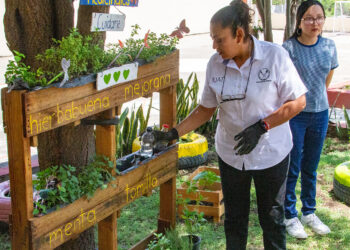 Cultivan en espacios de la UAT plantas aromáticas medicinales