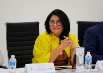 Diputada de Morena propone la «Ley Yolanda»
