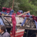 Mueren 26 al caer autobús a barranco en Oaxaca.