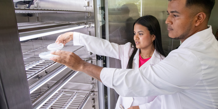 Comparten investigación la UAT y la Universidad de Chiriquí