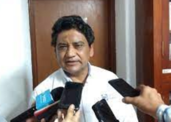 Falso que PAN vaya a desaparecer el Comité Municipal de Tampico: Vanyoe.
