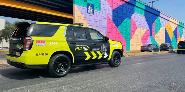 San Luis Potosi ha decomisado más de 53 millones de pesos en narcoticos