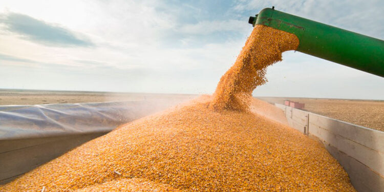 Rusia esceptica sobre la continuidad del acuerdo del grano