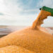 Rusia esceptica sobre la continuidad del acuerdo del grano