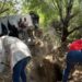 Suman 22 cuerpos hallados en 11 fosas clandestinas en Reynosa