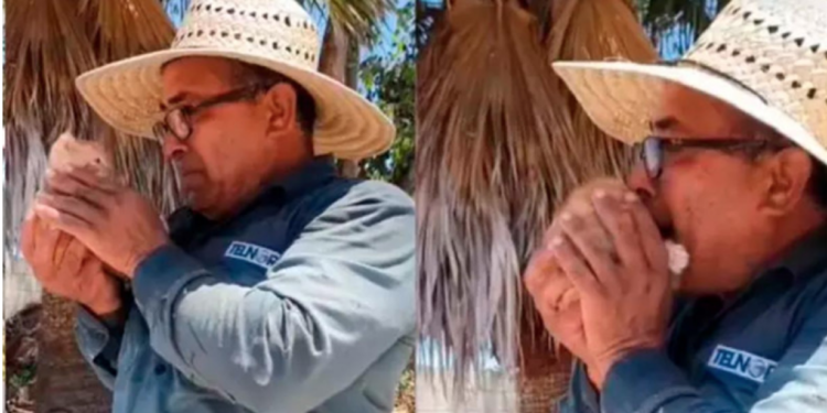 Hija le regala minino a su papá idéntico al que tenía y se pone a llorar