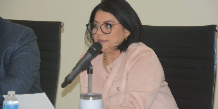 Morena propone ley de paz para combatir la violencia.
